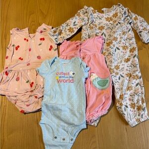Bundle Carter's Assorted Baby Outfits - Pink, Blue, Floral Sizes 9 to 24 months